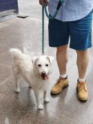 <b>本文旨正在切磋若何成为一位既擅长房产学问又</b>